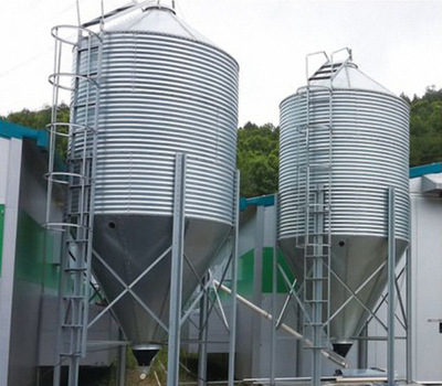 自动化上料系统规模化集中给猪群自动喂料