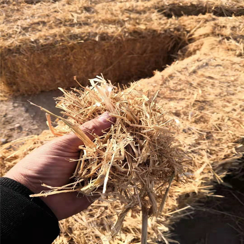批发养殖稻草秸秆草快粉碎干稻草打包压块稻草牛羊草干稻草压块