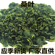 应季新货 新鲜桑叶干 花草茶500克/1斤散装 厂家直供 食用休闲茶