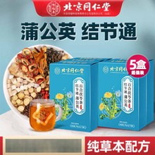 北京同仁堂结节通蒲公英百合茯苓茶