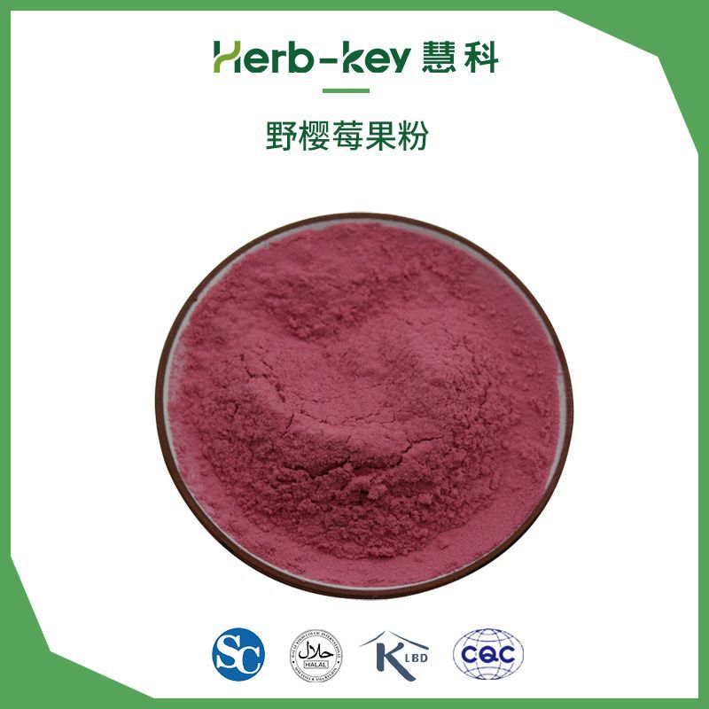 野樱莓果粉花青素3陕西慧科源头厂家现货销售野樱莓果粉