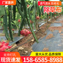 厂家直售黑色农用除草布 防草布 透气透水除草地布可降解 抑草布