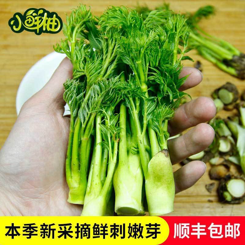 【龙芽菜】-龙芽菜厂家,品牌,图片,热帖-阿里巴巴