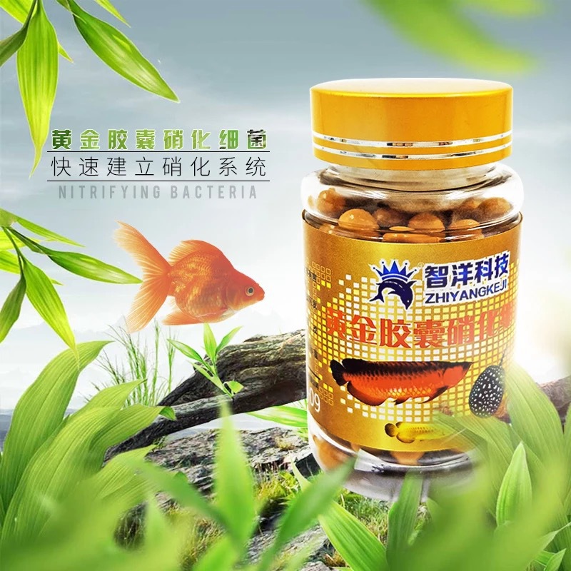 智洋水族 硝化细菌 水族观赏鱼药 魟鱼药 水质净水胶囊  60粒