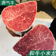 乌拉圭12厂和牛4/5小米龙 餐厅嫩牛肉火锅串串食材商用牛小黄瓜条