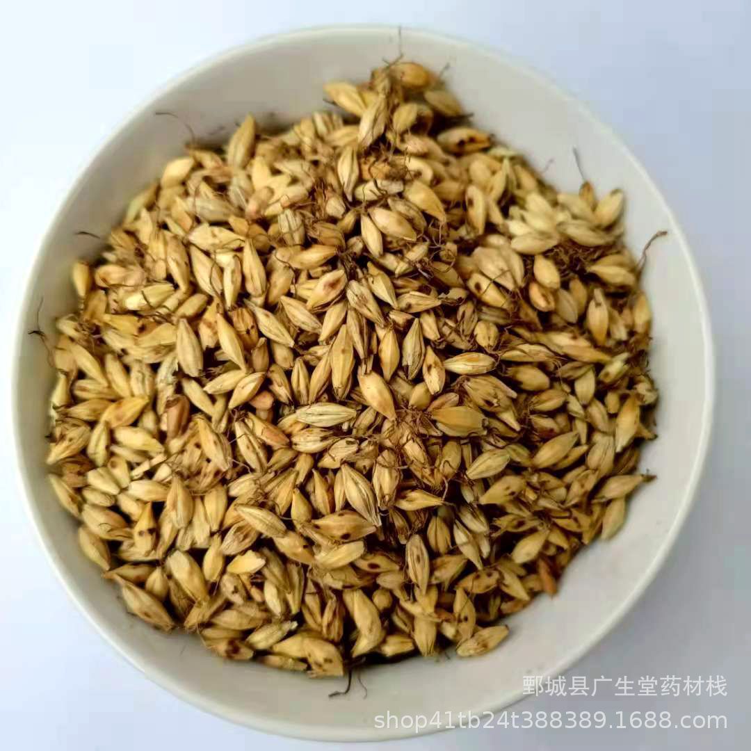 【广生堂】中药材批发零售现货供应炒麦芽500g 一手货源 可打粉