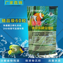 洁宝硝化细菌精品级60粒试用装复合EM菌 观赏鱼用非兽药鱼药