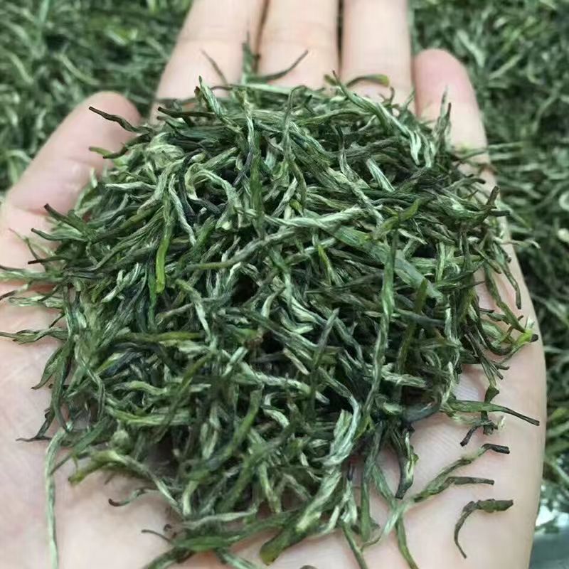 2022新茶信阳毛尖茶叶信阳原产明前特级嫩芽浓香型绿茶散装毛尖茶
