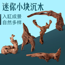 新疆包邮正宗南通五宝绿珠杜鹃杜鹃_阿里巴巴找货神器