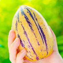 [盛果邻]人参果礼盒装送人云南石林人生果七彩人参果精选高档礼盒