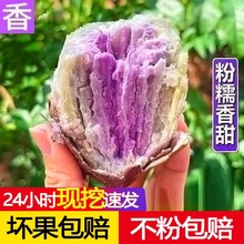 冰淇淋红薯一点红番薯新鲜沙地一件代发现挖花心紫薯地瓜10斤批发