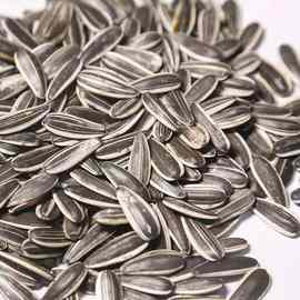 生瓜子内蒙古新货葵花籽1-5斤批发葵新鲜散装香瓜子毛嗑批发送礼