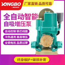 自吸增压泵家用全自动抽井水管道加压泵家用自来水220v