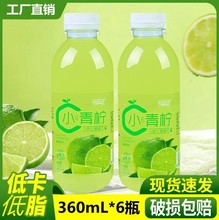 小青柠果味饮料360ml/12瓶厂家直销网红同款夏季饮品整箱批发商用