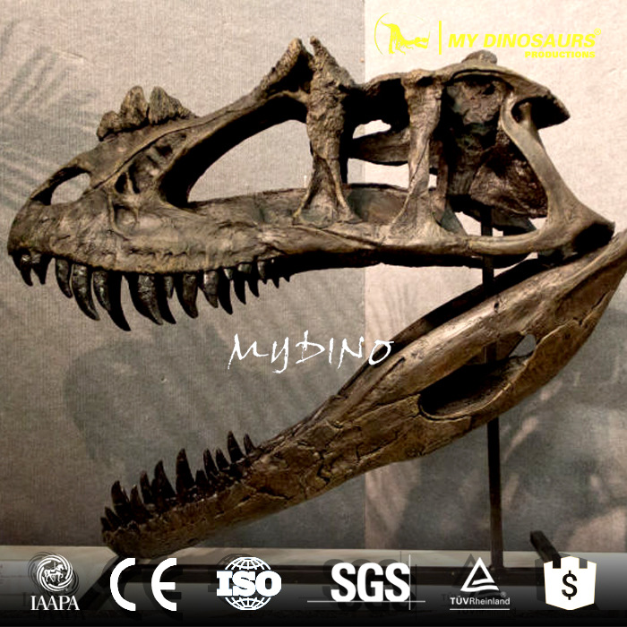 异特龙头骨骨架 仿真玻璃钢骨骼 科学考古尺寸复制品模型