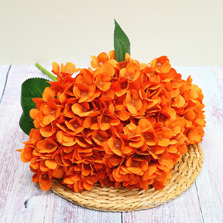 5叉英伦绣球花-橙色.jpg