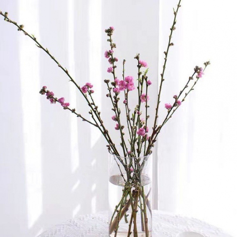 桃花雪柳干支水插花雪柳鲜花喷雪花鲜切花桃花遇水开花
