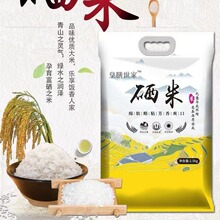 饮马河一品香 富硒绿色东北特产大米 天然河水灌溉圆润饱满不回生