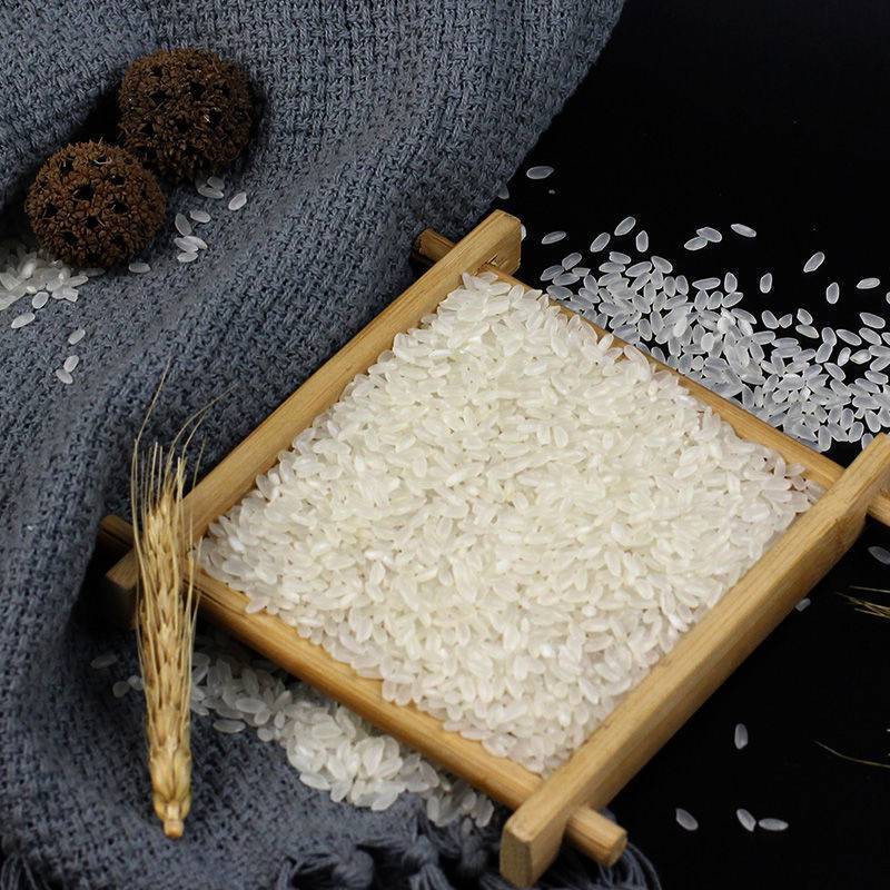 内蒙原大米便民装粳米寿司米当季新米内蒙长粒香5斤装