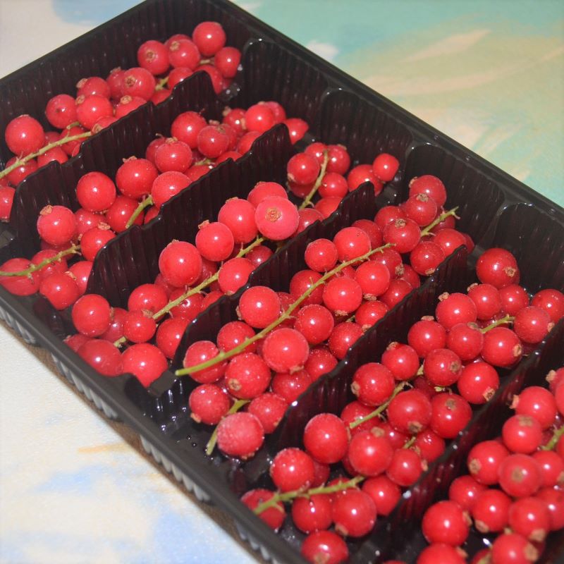 冷冻带枝红加仑安德鲁速冻带茎红加仑200克/盒