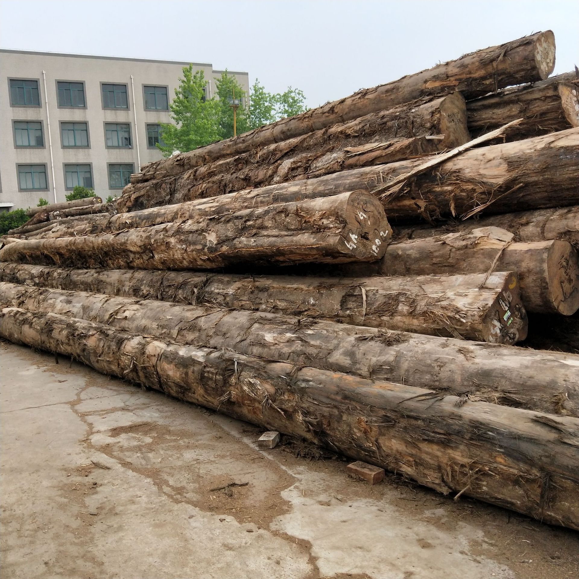 卡罗木 卡罗原木 巴蒂木 阿莫栋 银口 价格优惠量大从优