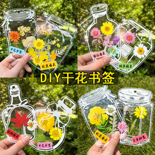 干花书签枫叶手工diy材料瓶子里的春天收集童年透明树叶标本塑封
