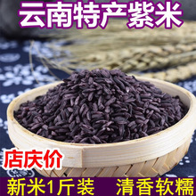 新米紫米云南墨江紫糯米黑糯包粽子米饭团材料500g五谷杂粮血糯米