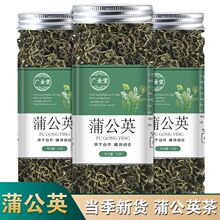 蒲公英茶长白山蒲公英茶不带根婆婆丁茶可搭金银花菊花组合茶