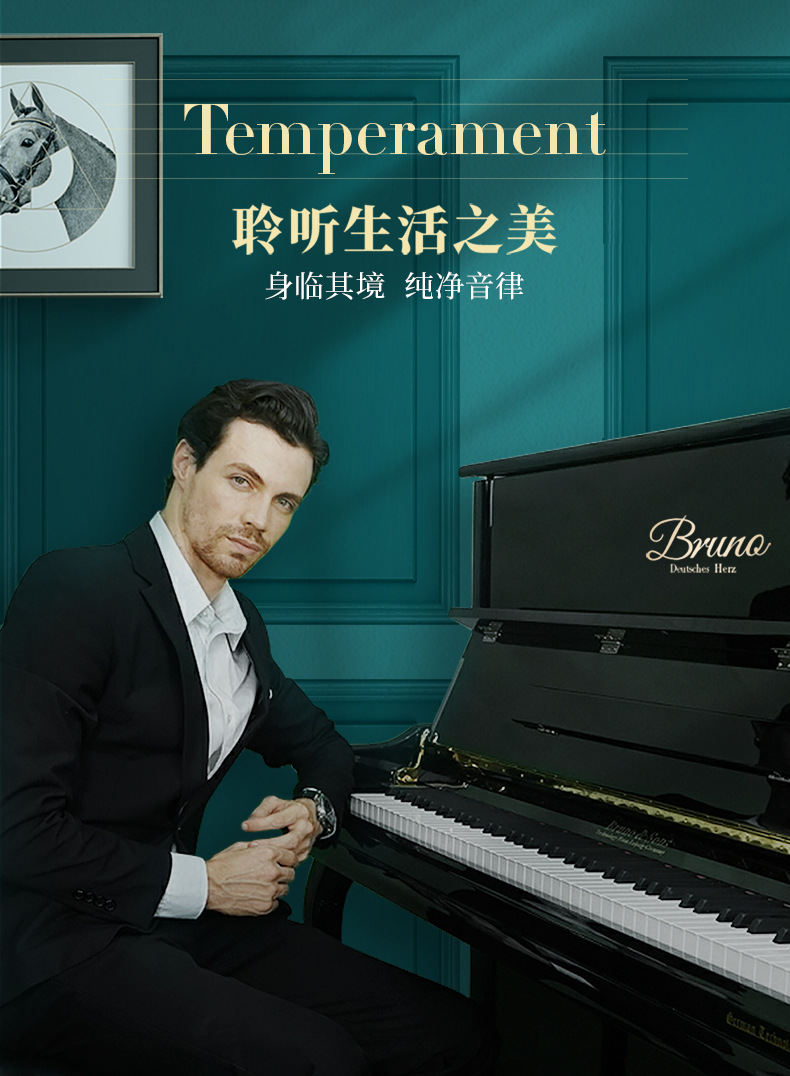 bruno布鲁诺德国品质全新立式钢琴家用成人钢琴演出级考级gt650