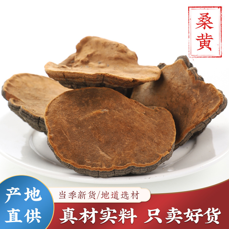 桑黄中药材正品干货小努桑树桑黄桑黄茶煲汤泡水喝的功效和作用