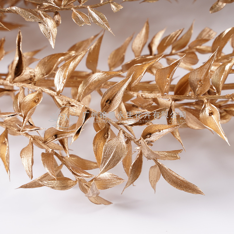 【永生富贵叶】漂白富贵叶金色银色花束花材干花diy材料干叶干草