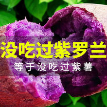 【紫薯】新鲜紫薯0斤紫罗兰红薯沙地蜜薯地瓜蔬菜批发斤