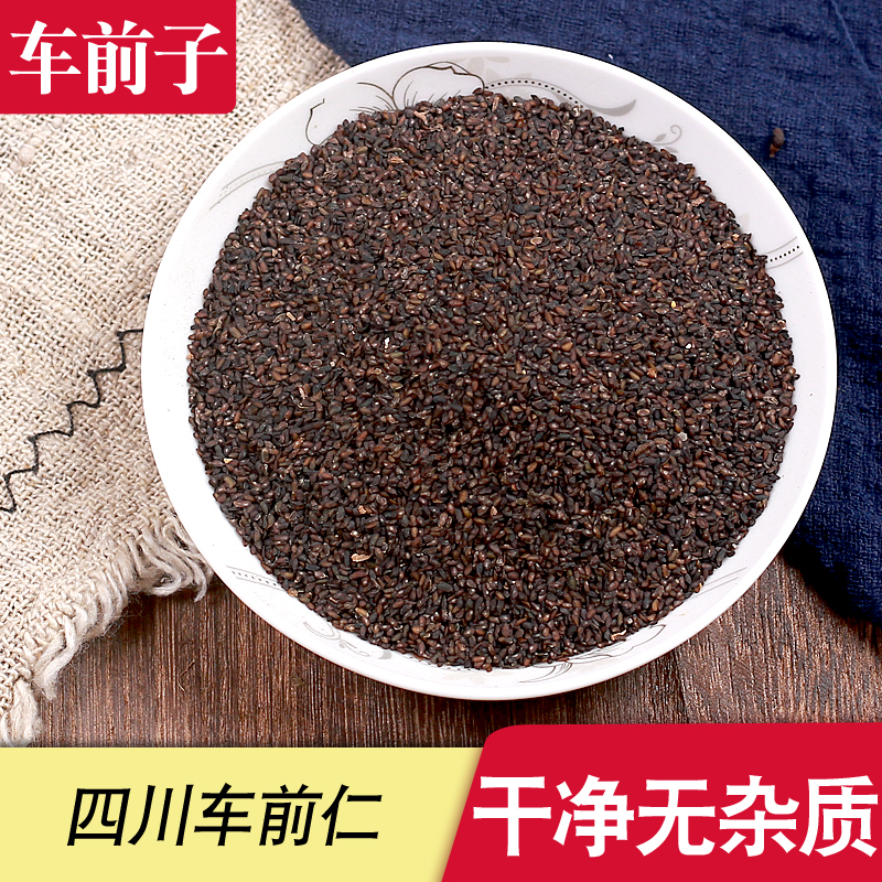 野生车前子500g克包邮 车前草籽 车前子茶 车前籽 中药材前仁