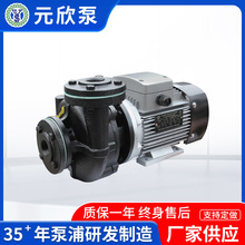 厂家供应YS-35系列热水泵热油泵规格全量大从优