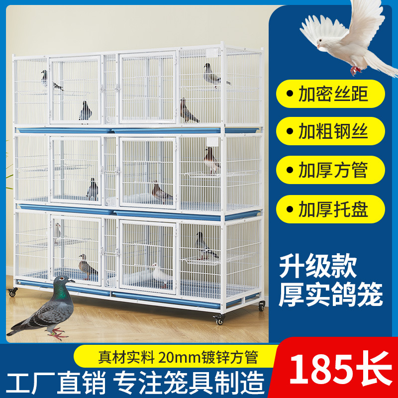 新品鸽子笼加粗加密防黄鼠狼鸽子笼隔离笼配对笼公棚鸽舍鸽子笼子