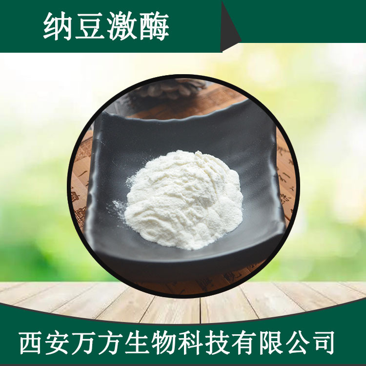 纳豆激酶20000fu/g 纳豆提取物源头货源现货批发水溶性纳豆激酶粉