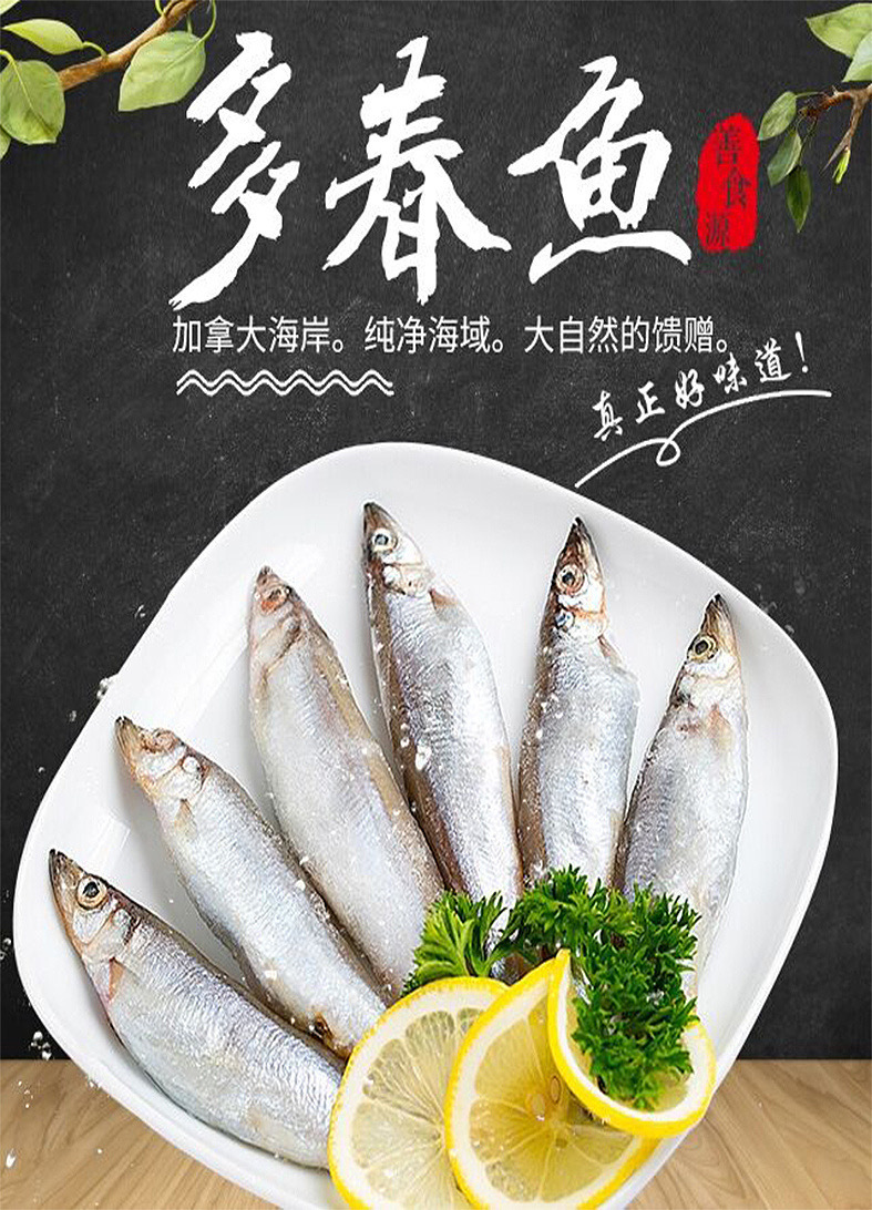 【多春鱼公体】5kg/件海鲜水产批发 无籽肉紧实烧烤食材饭堂商用