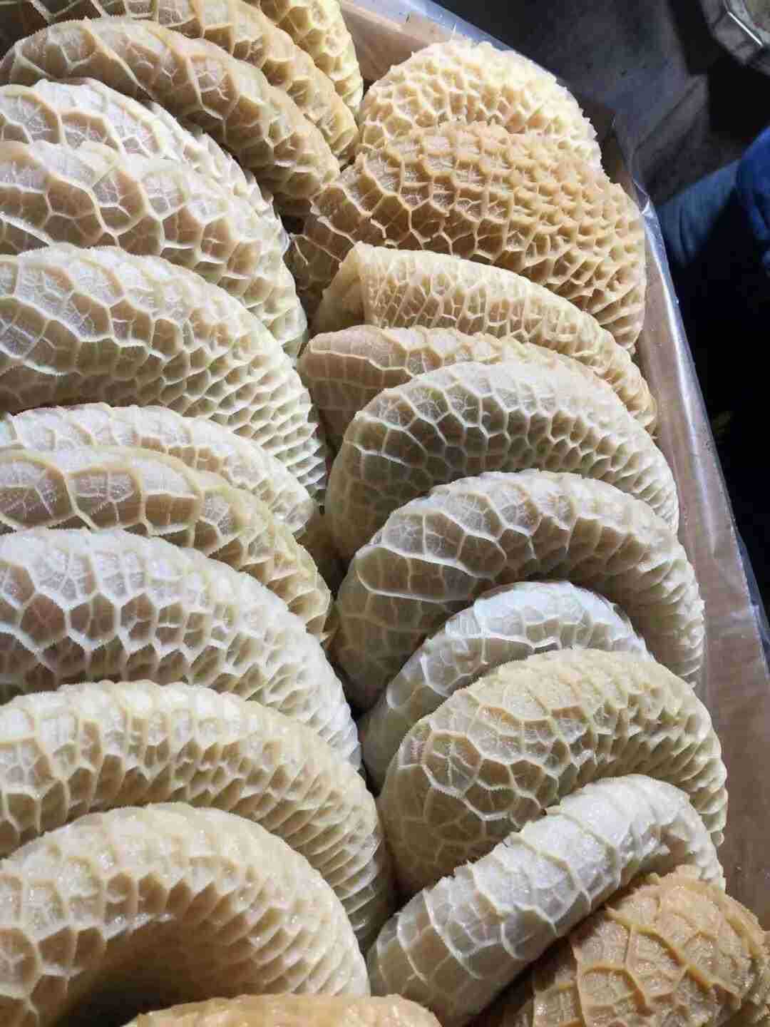 冷冻金钱肚牛金钱肚牛肚精选牛肚冷冻牛副