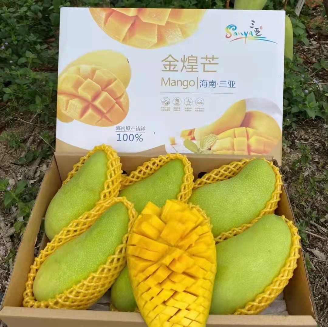 黄皮芒果