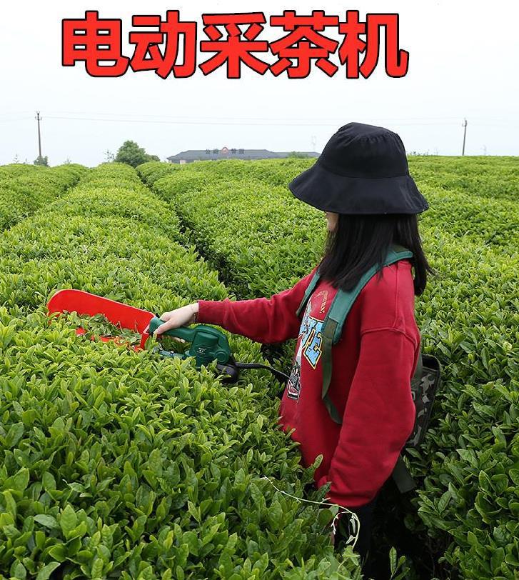 便携式采茶机单人小型机器合金修枝剪手提式单芽嫩芽采摘机迷你
