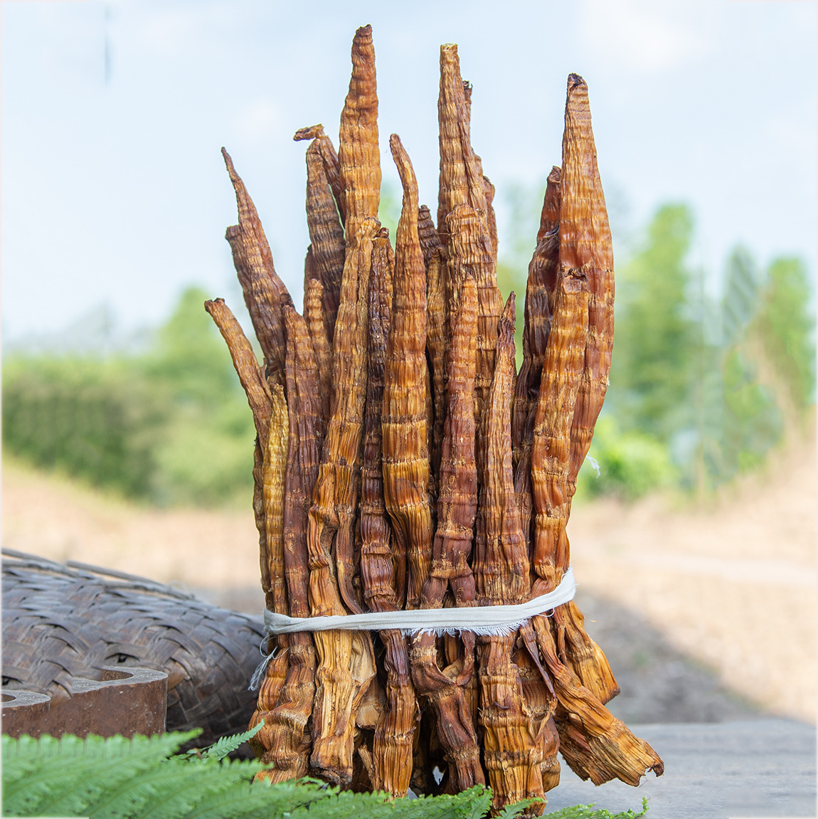 贵州赤水筒筒笋大竹笋方竹笋烟熏笋干干货散装干笋子竹笋四川特产