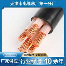 天联厂家供应MHYBV-7-2*25 25米矿用拉力电缆  铠装控制电缆