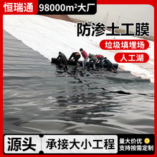 防渗土工膜河道水库蓄水池鱼塘养殖膜垃圾填埋场加厚防渗土工膜