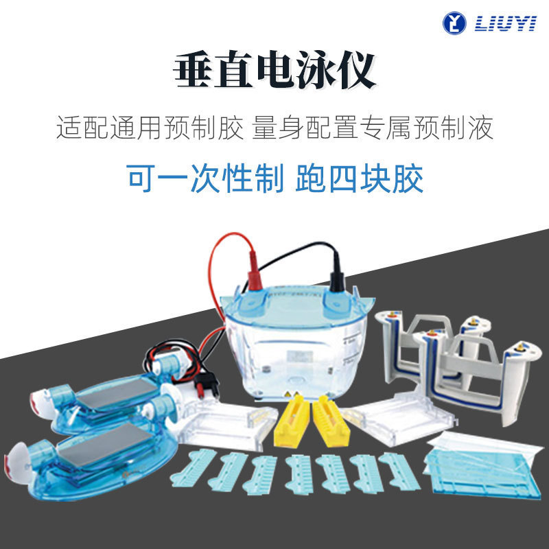 六一双板垂直电泳仪DYCZ-24K实验室琼脂糖丙烯酰胺蛋白凝胶电泳槽