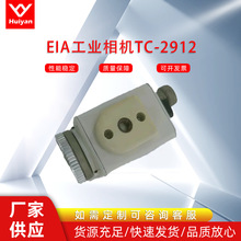 EIA工业相机TC-2912 黑白高清相机 拆机件 可议价
