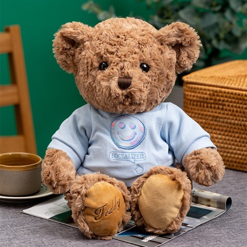 卫衣熊泰迪熊毛绒玩具熊抱抱熊公仔大熊娃娃毛衣可爱小熊玩偶