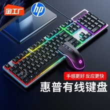 有线机械手感电竞游戏键盘台式电脑笔记本办公鼠标套装静音青莹