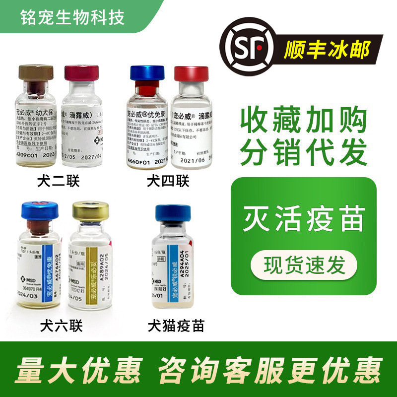 快递冰邮荷兰英特威狂犬疫苗四联宠必威锐必威狗狗猫咪优免康疫苗