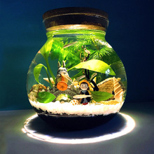 生态瓶微景观水族箱造景斗鱼缸办公桌面玻璃生态瓶鱼缸微景观空瓶
