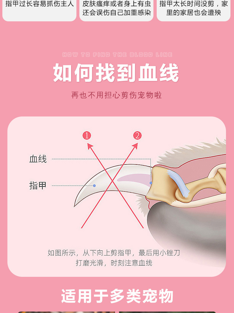 跨境猫咪指甲剪幼猫小猫照血线指甲钳新手用狗狗指甲刀宠物用品